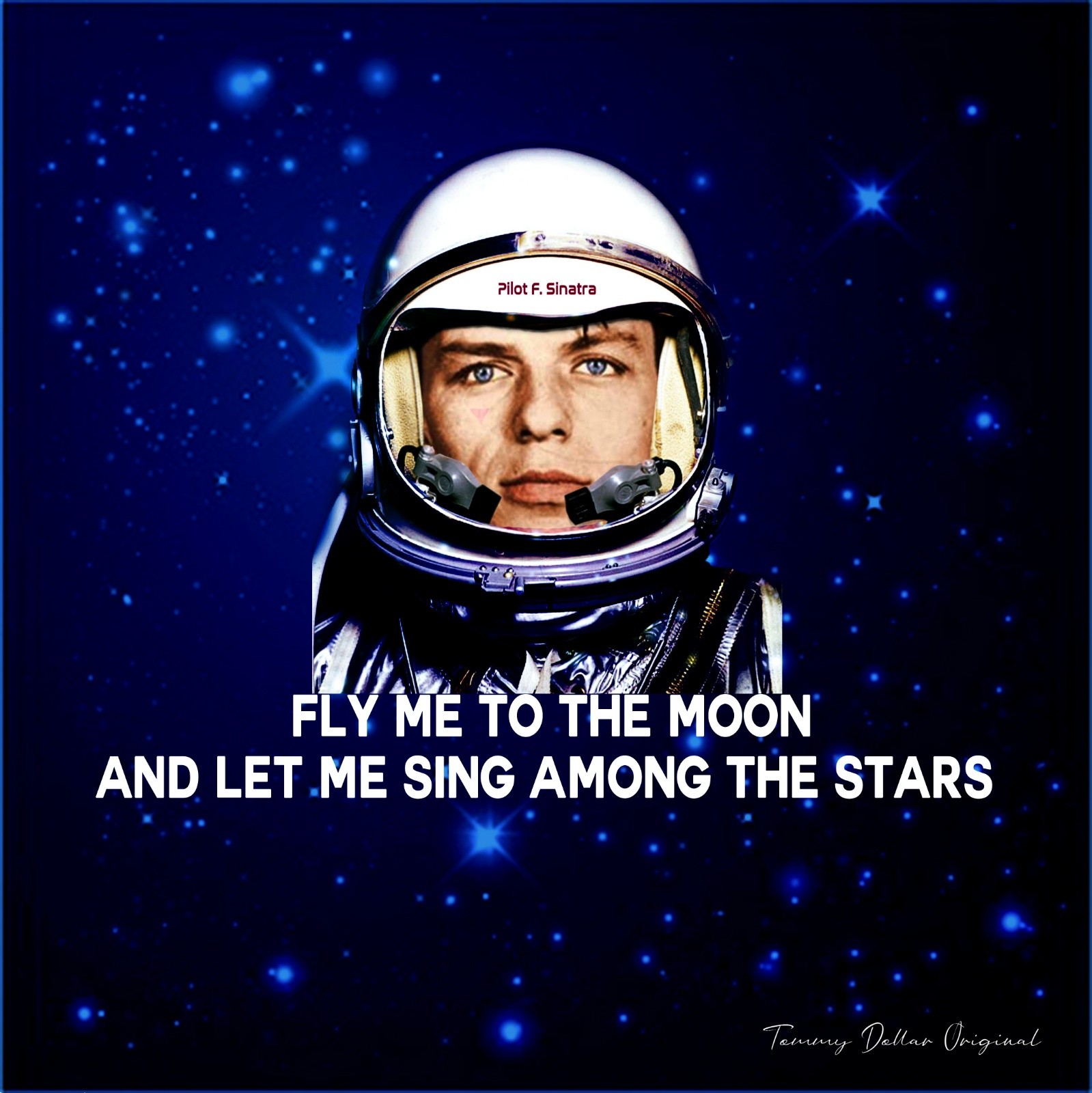 Fly me to the moon